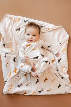 Baby Blanket in Dachshund 1.0