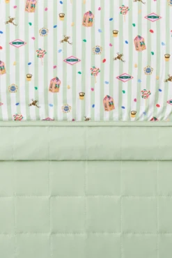 Baby Blanket in Honeydukes 1.0