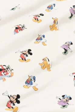Baby Blanket in Mickey Mouse and Friends 1.0