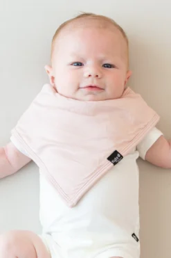 Bib in Blush