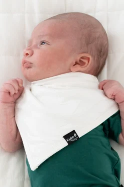 Bib in Cloud