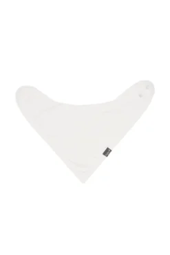 Bib in Cloud