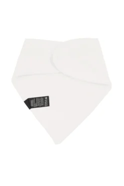 Bib in Cloud