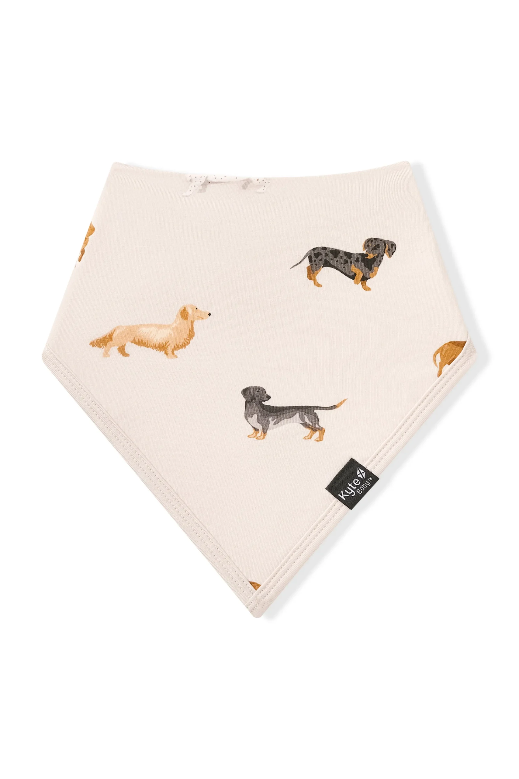 Bib in Dachshund