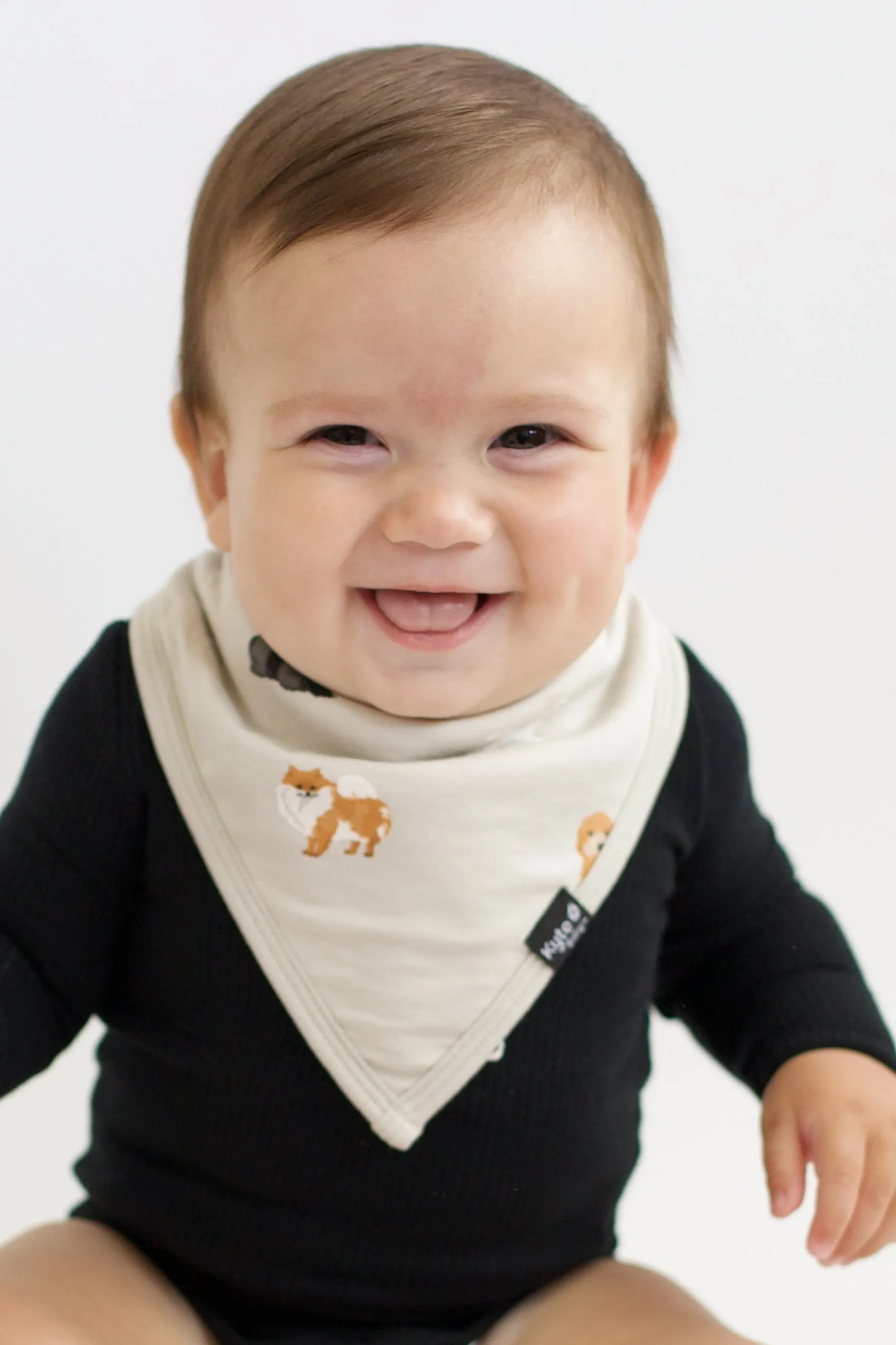 Bib in Fluffy Dog
