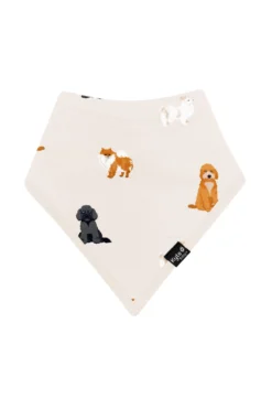 Bib in Fluffy Dog