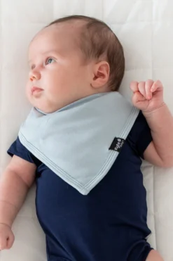 Bib in Fog