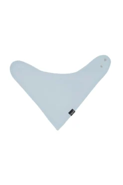 Bib in Fog