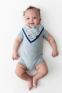 Bib in Patriotic Goose