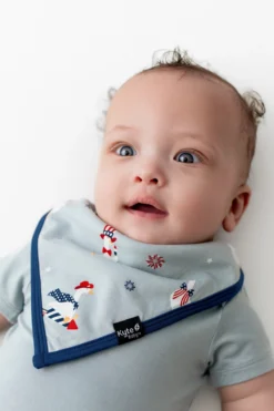 Bib in Patriotic Goose