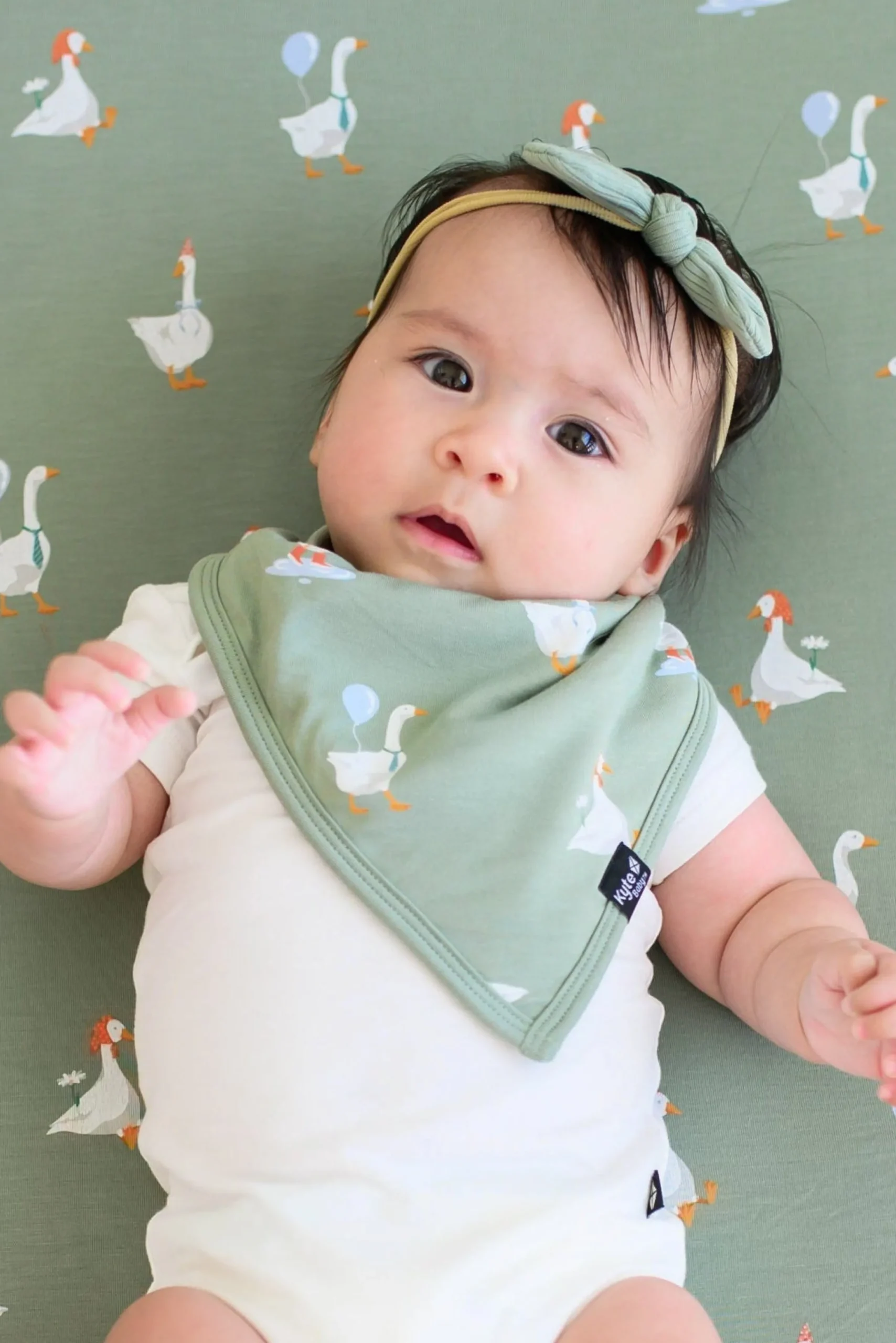 Bib in Silly Goose