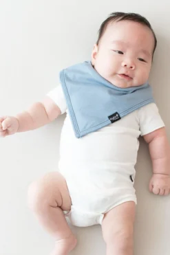 Bib in Slate