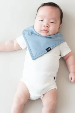 Bib in Slate