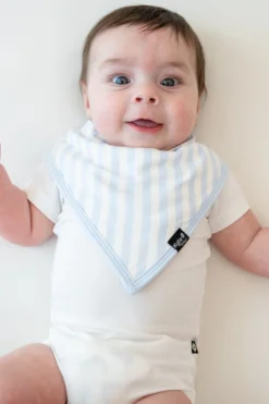 Bib in Small Mist Stripe