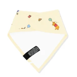 Bib in Winnie the Pooh Celebration