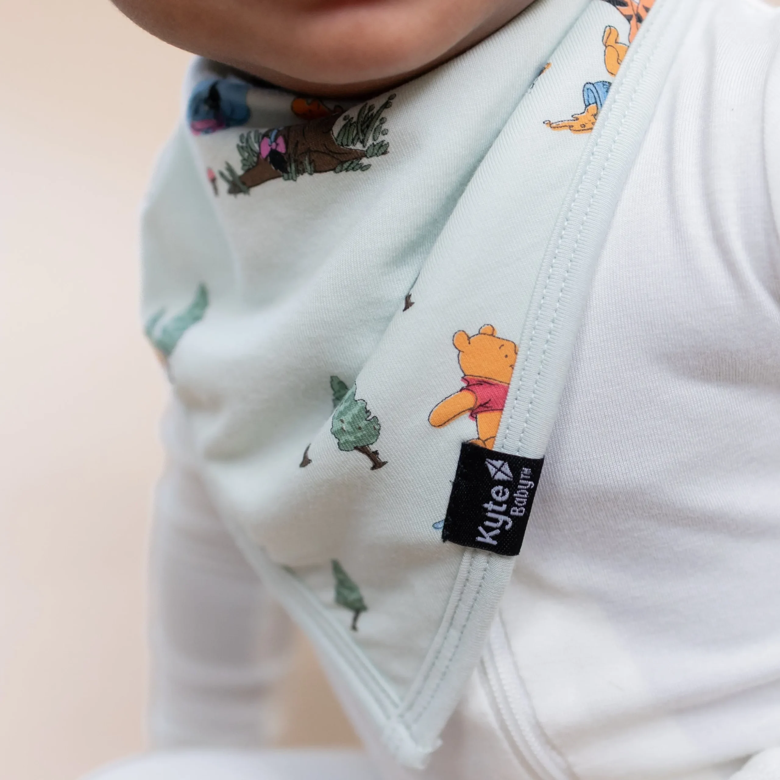Bib in Winnie the Pooh Hundred Acre Wood