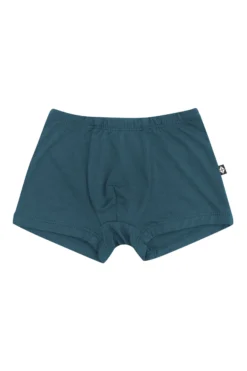 Briefs in Atlantic