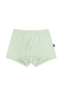 Briefs in Basil
