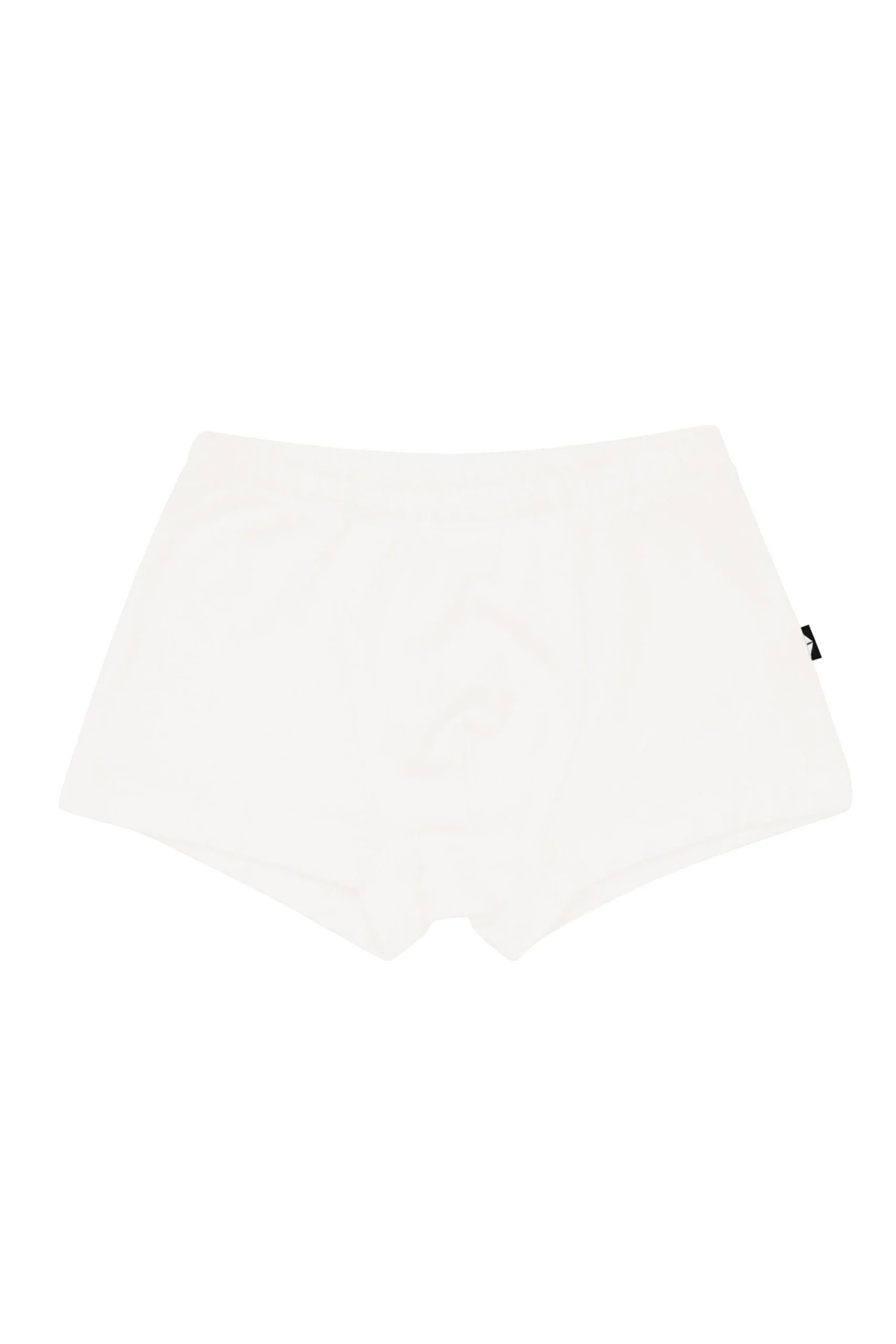 Briefs in Cloud