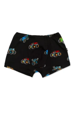 Briefs in Monster Truck