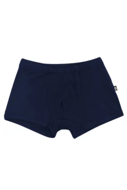 Briefs in Navy