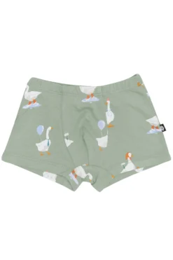 Briefs in Silly Goose
