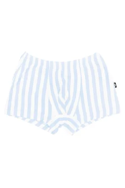 Briefs in Small Mist Stripe