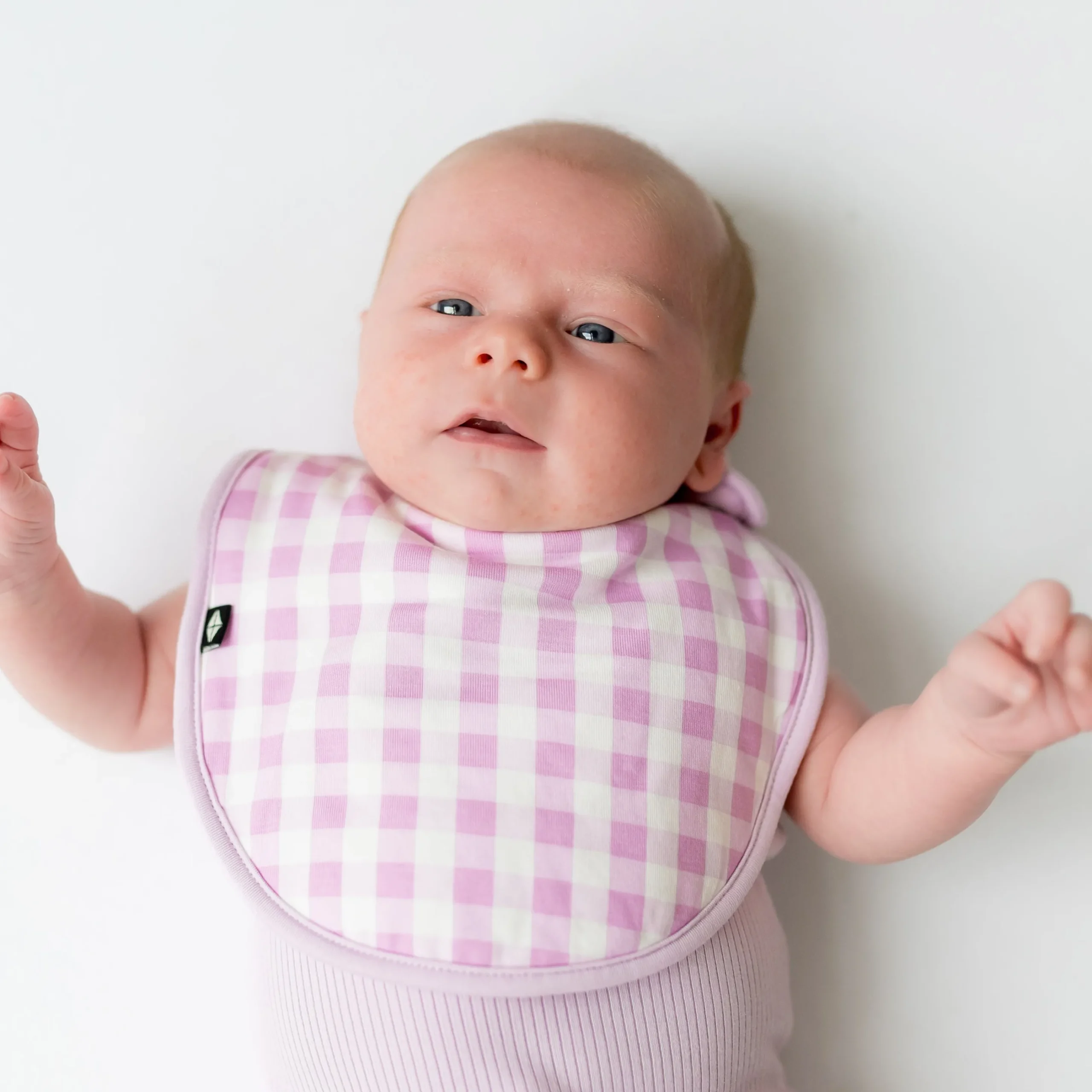 Cushy Bib in Gingham Thistle