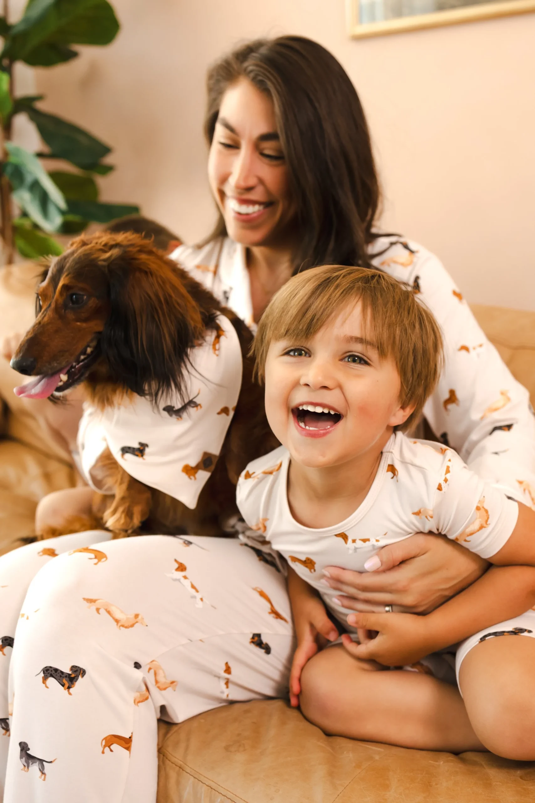 Dog Bandana in Dachshund
