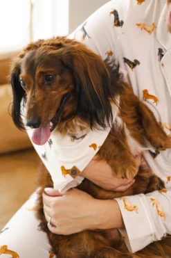 Dog Bandana in Dachshund