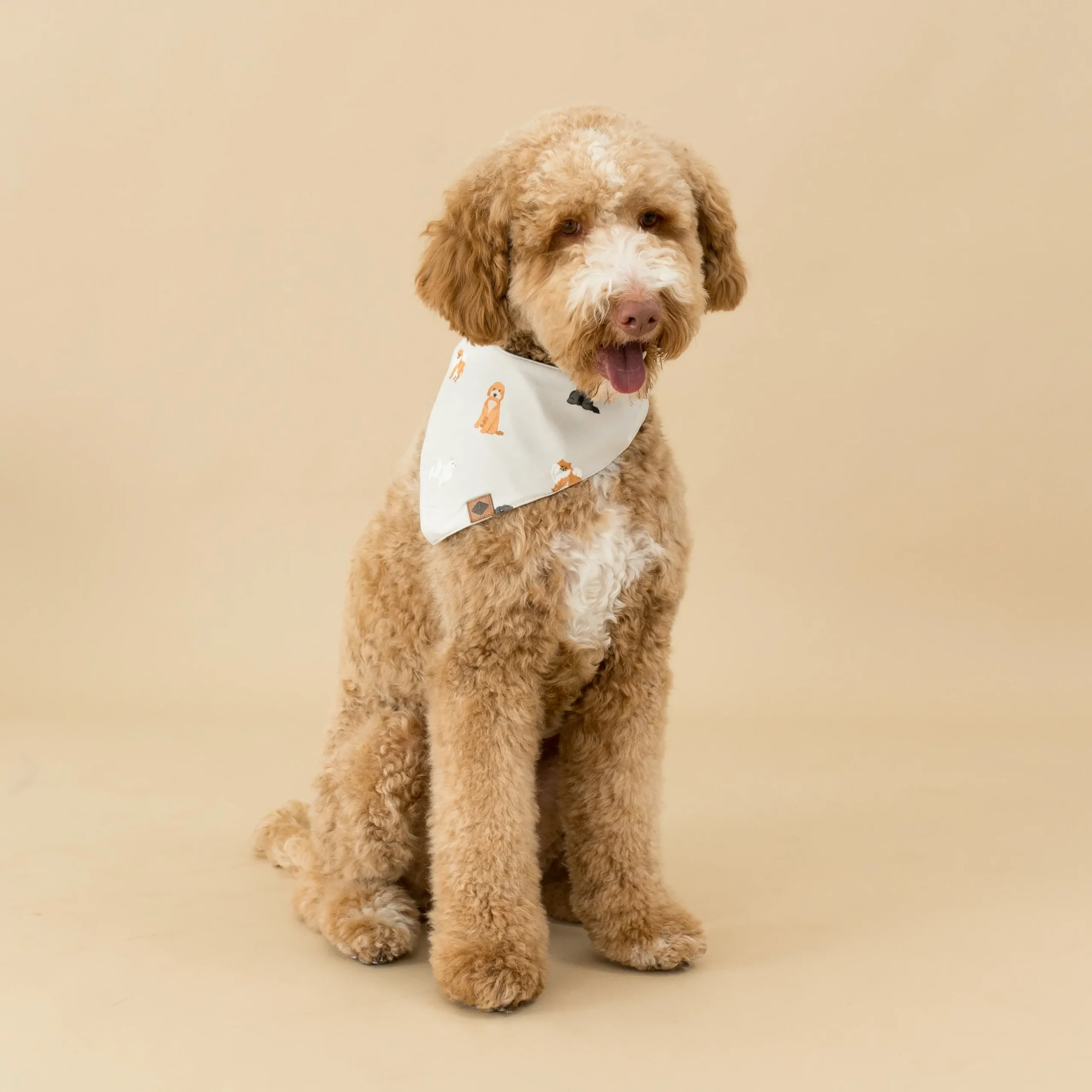 Dog Bandana in Fluffy Dog