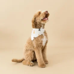 Dog Bandana in Fluffy Dog