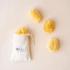 Face Sea Sponge - 4 Pack Bundle