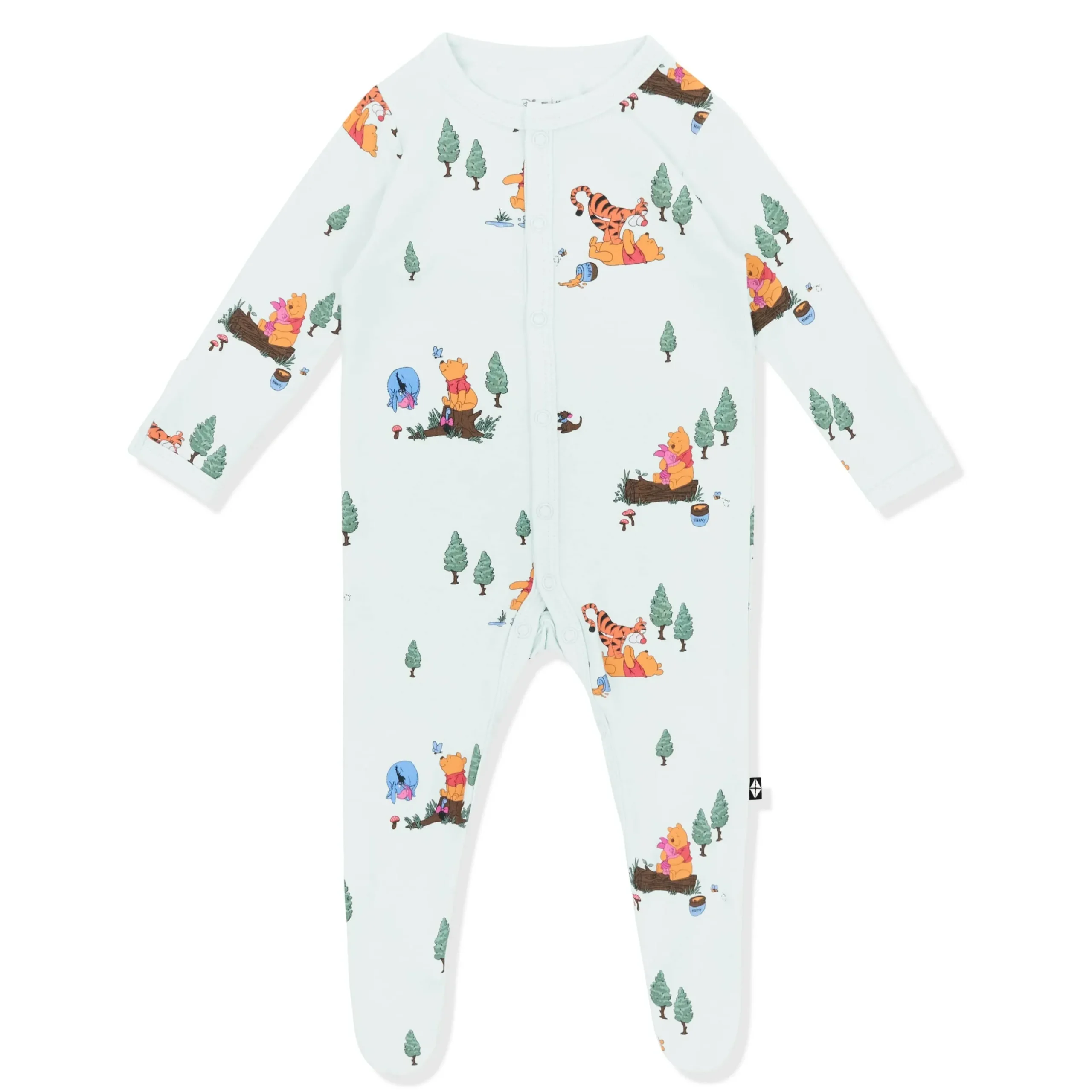 Footie in Winnie the Pooh Hundred Acre Wood