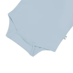 Long Sleeve Bodysuit in Fog