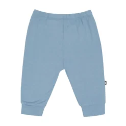 Pant in Slate