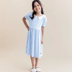 Peter Pan Collar Dress in Gingham Breeze