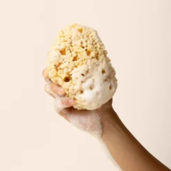 Sea Sponge