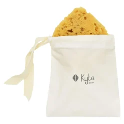 Sea Sponge