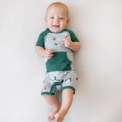 Shortall in Mallard Duck