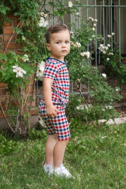 Short Sleeve Pajamas in Patriotic Gingham