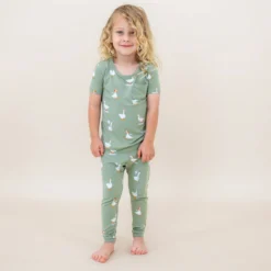 Short Sleeve with Pants Pajamas in Silly Goose