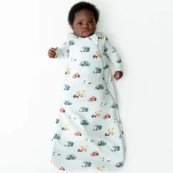 Sleep Bag in City Vehicles 1.0