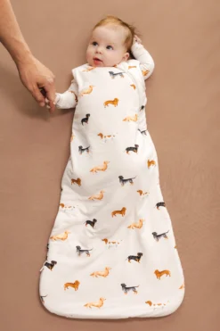 Sleep Bag in Dachshund 1.0