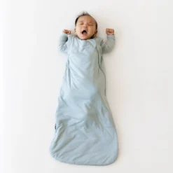 Sleep Bag in Fog 1.0