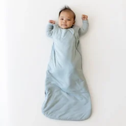 Sleep Bag in Fog 1.0