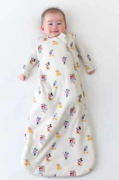 Sleep Bag in Mickey Mouse and Friends 1.0
