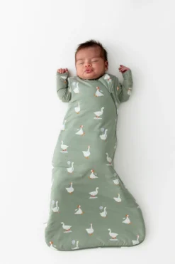 Sleep Bag in Silly Goose 1.0
