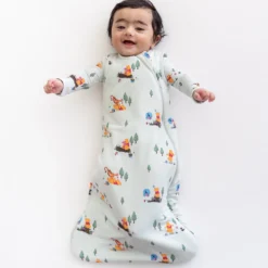 Sleep Bag in Winnie the Pooh Hundred Acre Wood 1.0