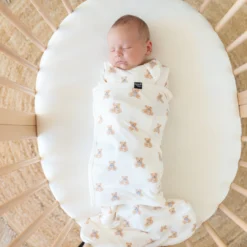 Sleep Bag Swaddler in Teddy Bear 1.0